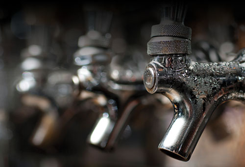 Craft Beer On Tap